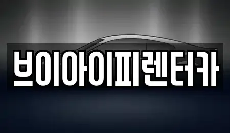 경기도 김포시 하성면 렌트카 전문 브이아이피렌터카