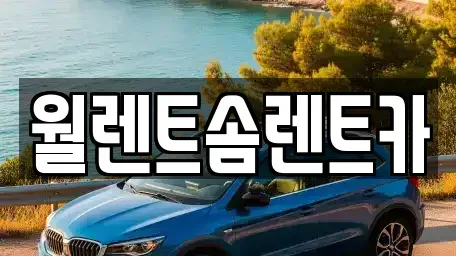 경기도 김포시 하성면 렌트카 전문 월렌트솜렌트카