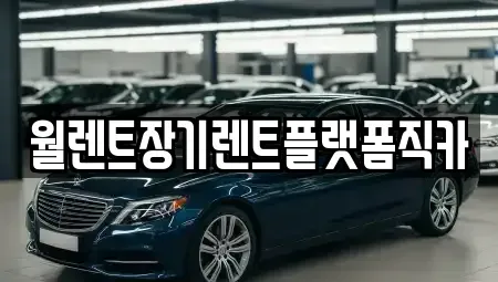 경기도 김포시 하성면 렌트카 전문 월렌트장기렌트플랫폼직카