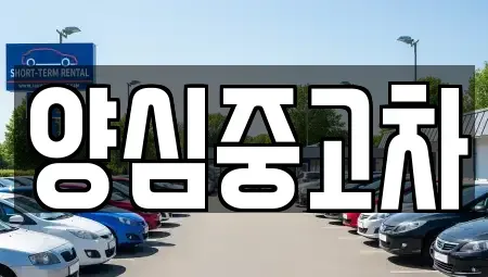 경기도 김포시 하성면 중고차매매 전문 양심중고차