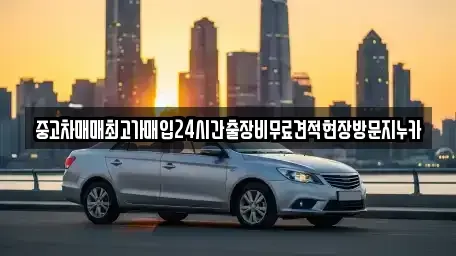 경기도 김포시 하성면 단기렌트카,중고차매입,중고차매매,중고차,렌트카,장기렌트카