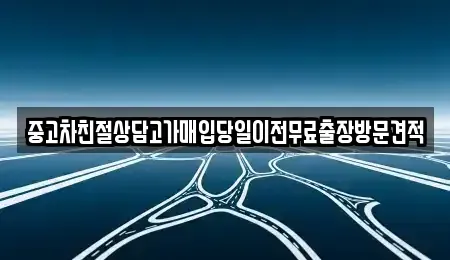 경기도 김포시 하성면 중고차매입 전문 중고차친절상담고가매입당일이전무료출장방문견적