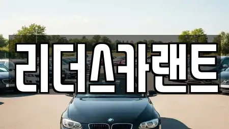 경기도 남양주시 와부읍 단기렌트카 전문 리더스카랜트