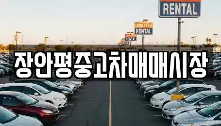 경기도 남양주시 와부읍 중고차 전문 장안평중고차매매시장