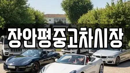 경기도 남양주시 와부읍 중고차 전문 장안평중고차시장