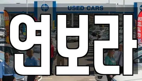 경기도 동두천시 상패동 렌트카 전문 연보라