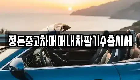 경기도 동두천시 상패동 중고차 전문 정든중고차매매내차팔기수출시세