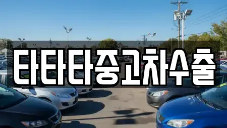 경기도 동두천시 상패동 중고차 전문 타타타중고차수출