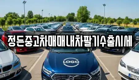 경기도 동두천시 하봉암동 중고차 전문 정든중고차매매내차팔기수출시세