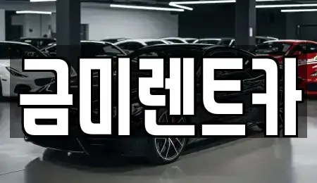 경기도 부천시 소사구 소사본동 렌트카 전문 금미렌트카