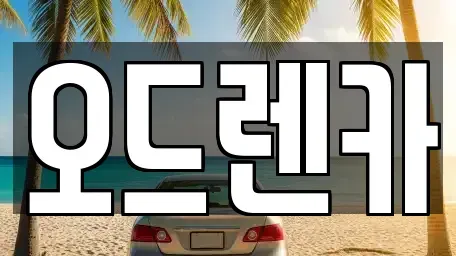 경기도 부천시 소사구 소사본동 장기렌트카 전문 오드렌카