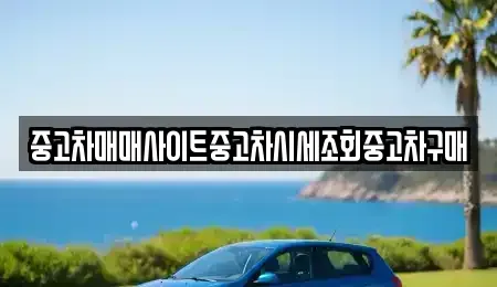 경기도 부천시 소사구 소사본동 중고차 전문 중고차매매사이트중고차시세조회중고차구매