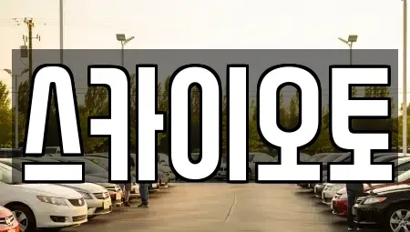경기도 부천시 소사구 심곡본동 단기렌트카 전문 스카이오토
