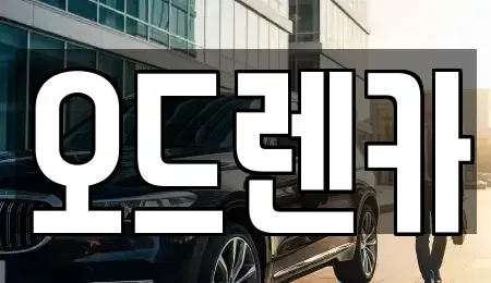 경기도 부천시 소사구 심곡본동 단기렌트카 전문 오드렌카