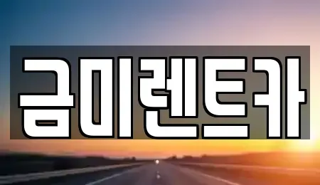 경기도 부천시 소사구 심곡본동 렌트카 전문 금미렌트카