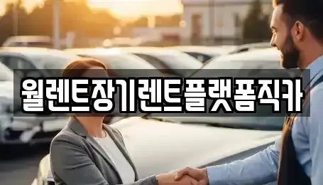경기도 부천시 소사구 심곡본동 장기렌트카 전문 월렌트장기렌트플랫폼직카
