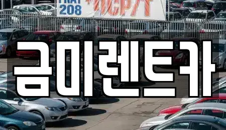 경기도 부천시 원미구 춘의동 렌트카 전문 금미렌트카