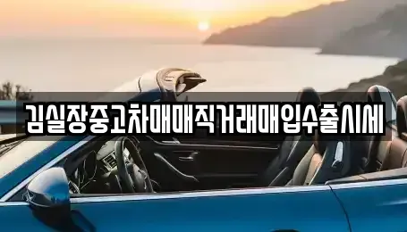 경기도 부천시 원미구 춘의동 중고차 전문 김실장중고차매매직거래매입수출시세