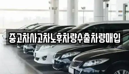 경기도 부천시 원미구 춘의동 중고차 전문 중고차사고차노후차량수출차량매입