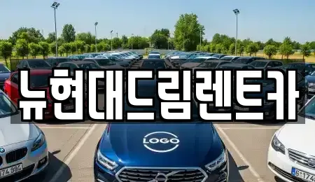 경기도 성남시 분당구 동원동 렌트카 전문 뉴현대드림렌트카