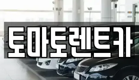 경기도 성남시 분당구 동원동 렌트카 전문 토마토렌트카