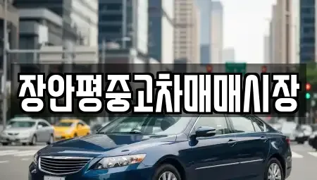 경기도 성남시 분당구 동원동 중고차매매 전문 장안평중고차매매시장