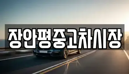 경기도 성남시 분당구 동원동 중고차매매 전문 장안평중고차시장