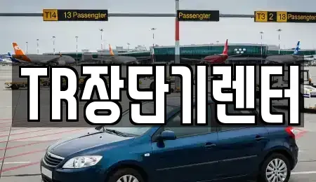 경기도 성남시 수정구 산성동 단기렌트카 전문 TR장단기렌터