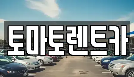 경기도 성남시 수정구 산성동 렌트카 전문 토마토렌트카