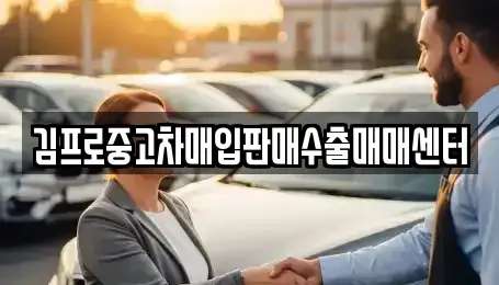 경기도 성남시 수정구 산성동 중고차매매 전문 김프로중고차매입판매수출매매센터