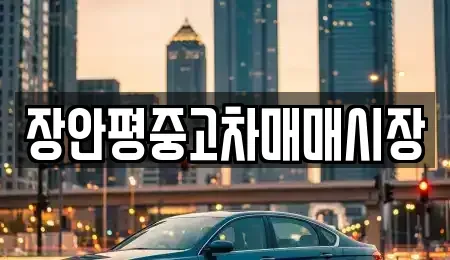경기도 성남시 수정구 산성동 중고차매매 전문 장안평중고차매매시장