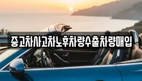 경기도 성남시 수정구 산성동 중고차매매 전문 중고차사고차노후차량수출차량매입