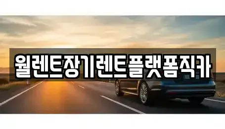 경기도 성남시 수정구 시흥동 렌트카 전문 월렌트장기렌트플랫폼직카