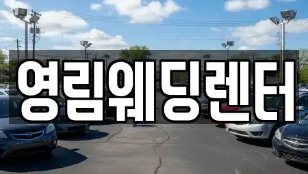 경기도 성남시 수정구 시흥동 장기렌트카 전문 영림웨딩렌터