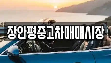 경기도 성남시 수정구 시흥동 중고차 전문 장안평중고차매매시장