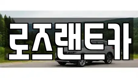 경기도 성남시 수정구 심곡동 단기렌트카 전문 로즈랜트카
