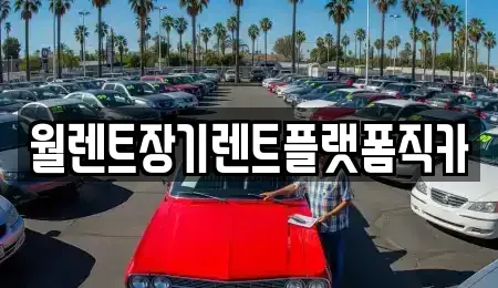 경기도 성남시 수정구 심곡동 렌트카 전문 월렌트장기렌트플랫폼직카