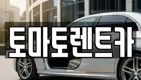 경기도 성남시 수정구 심곡동 렌트카 전문 토마토렌트카