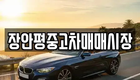 경기도 성남시 수정구 심곡동 중고차 전문 장안평중고차매매시장