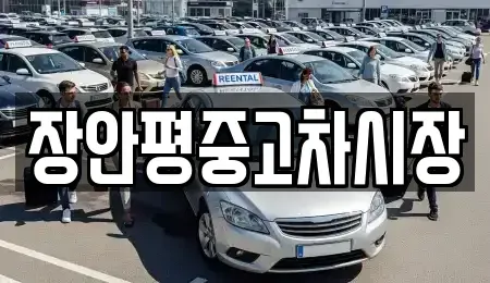 경기도 성남시 수정구 심곡동 중고차 전문 장안평중고차시장