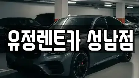 경기도 성남시 중원구 여수동 렌트카 전문 유정렌트카 성남점