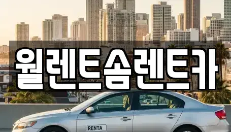 경기도 수원시 권선구 입북동 렌트카 전문 월렌트솜렌트카
