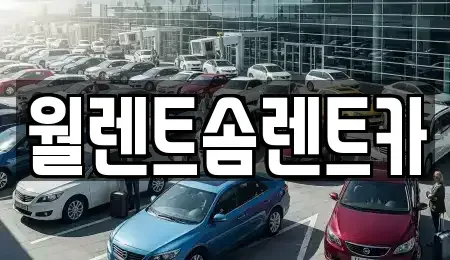 경기도 수원시 장안구 하광교동 렌트카 전문 월렌트솜렌트카