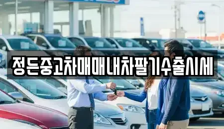 경기도 수원시 장안구 하광교동 중고차 전문 정든중고차매매내차팔기수출시세