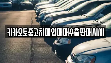 경기도 수원시 장안구 하광교동 중고차매입 전문 카카오토중고차매입매매수출판매시세