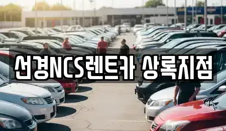 경기도 안산시 상록구 단기렌트카 전문 선경NCS렌트카 상록지점