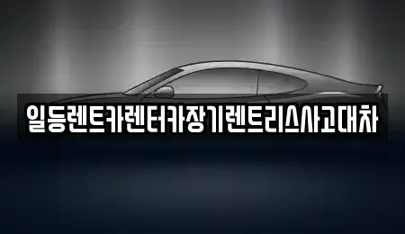 경기도 안산시 상록구 장기렌트카 전문 일등렌트카렌터카장기렌트리스사고대차