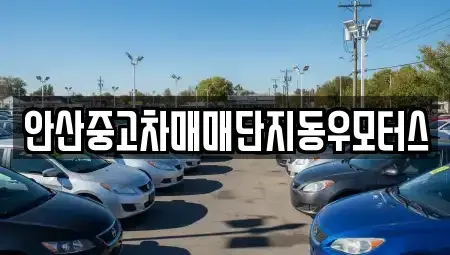 경기도 안산시 상록구 중고차 전문 안산중고차매매단지동우모터스
