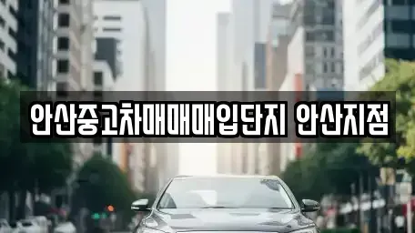 경기도 안산시 상록구 중고차매매 전문 안산중고차매매매입단지 안산지점