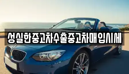 경기도 안산시 상록구 중고차매입 전문 성실한중고차수출중고차매입시세
